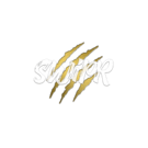 Swipr - Junior Web Developer